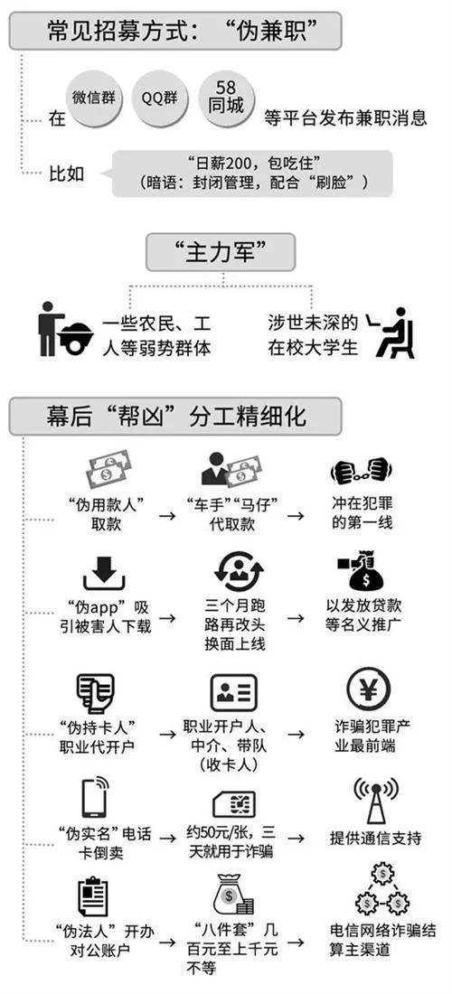 电信网络诈骗分工日益精细，弱势群体成幕后“帮凶”