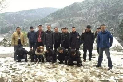 大雪封山深圳警方蹲守6天，打掉冒充电商平台客服团伙