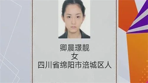 “最美女嫌犯”投案自首 此前因酒托诈骗被通缉