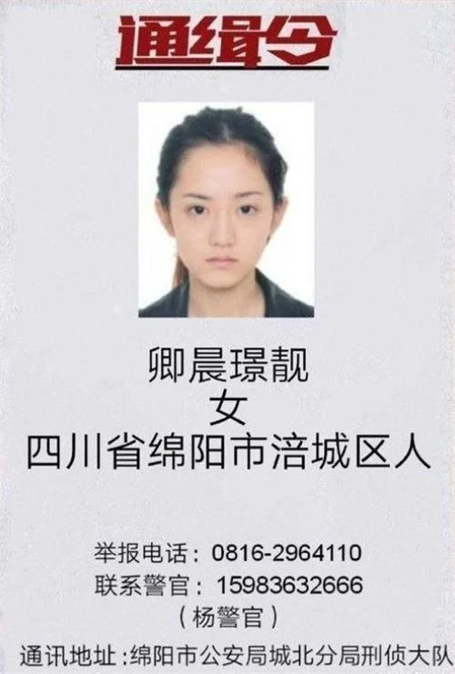 “最美女嫌犯”投案自首 此前因酒托诈骗被通缉