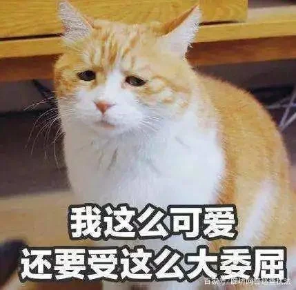 00后团伙发明诈骗新招：不骗钱，拉人入伙再训练成骗子