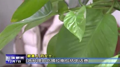 女子痴迷网恋“男友”7年素未谋面，被诈骗50多万