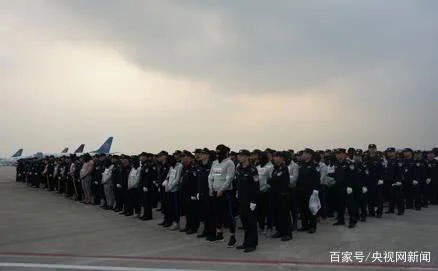这群人躲在外国猪圈里给你打诈骗电话，被一窝端干净了