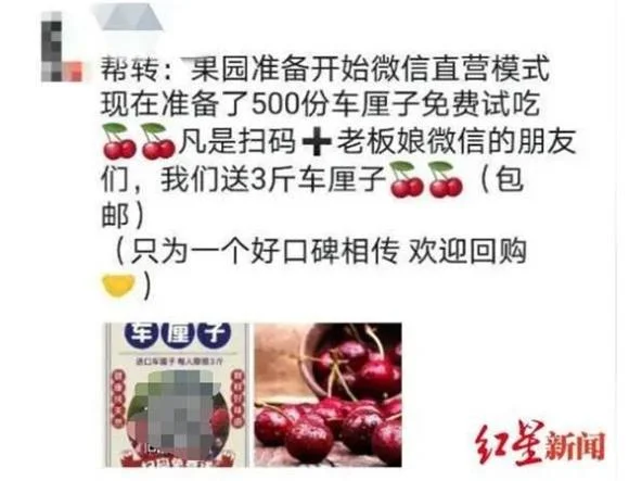 转发朋友圈免费试吃车厘子？这类骗局人均被骗超1900元