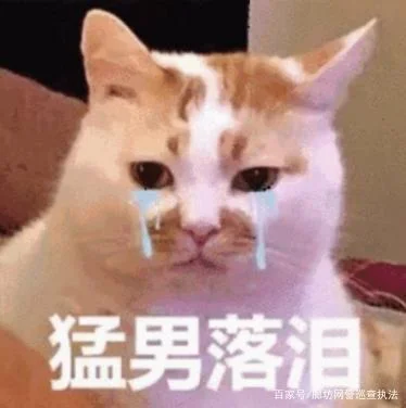 00后团伙发明诈骗新招：不骗钱，拉人入伙再训练成骗子