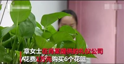 丈夫相亲网站诈骗单身女性钱财，妻子居然帮忙设套
