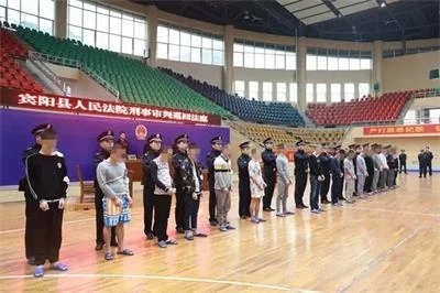 宾阳首次巡回宣判网络诈骗案！16人获刑最高罚100万