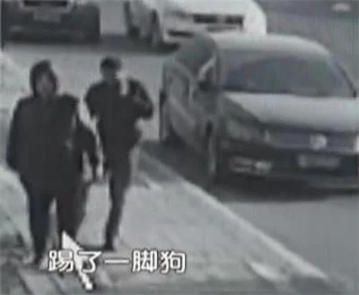 新型碰瓷党：自残谎称被狗咬 敲诈犬主月入过万