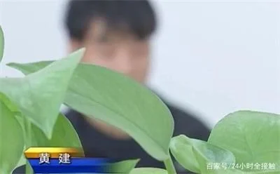 大学生听信女网友“网贷赚钱”被骗，欠下200万巨款