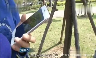 网络贷款须谨慎，女子贷两千实际到手1500竟需还13万