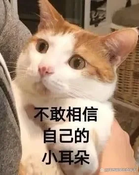 常州女士在“美思策划”APP派单群给主播“刷礼物、冲榜”被骗11万