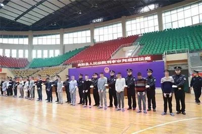 宾阳首次巡回宣判网络诈骗案！16人获刑最高罚100万